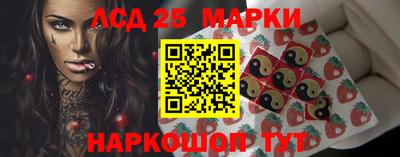 тгк Кингисепп
