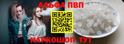 тгк Кингисепп