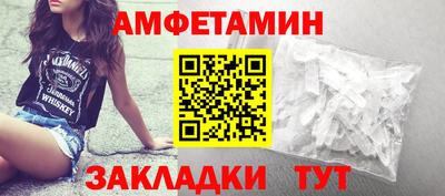 тгк Кингисепп