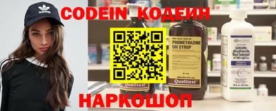 тгк Кингисепп