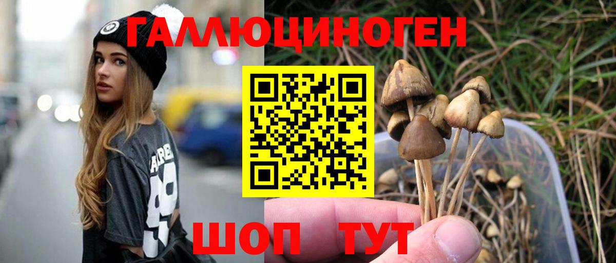 Псилоцибиновые грибы MAGIC MUSHROOMS  Вход с VPN  Галлюциногенные грибы MAGIC MUSHROOMS  Екатеринбург 